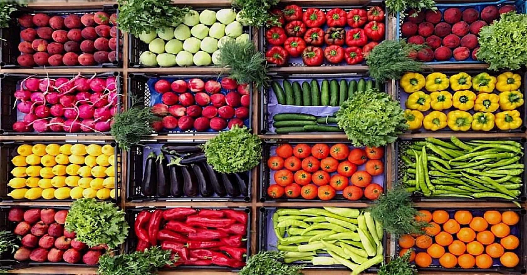 Vatandaşlar Malatya Haline Koşuyor: Peki Halde Fiyatlar Nasıl? İşte 17 Mayıs Fiyat Listesi…