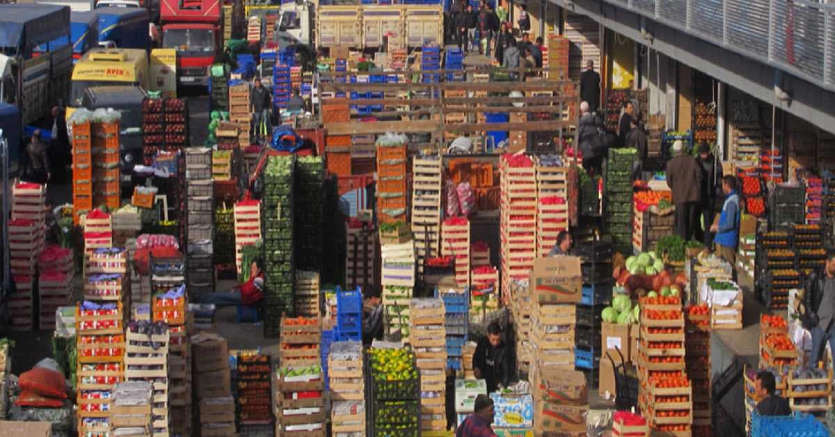 Malatya'da 5 Kasım Hal Fiyatları: Meyve-Sebze Fiyatları Ne Kadar? İşte Yanıtı…