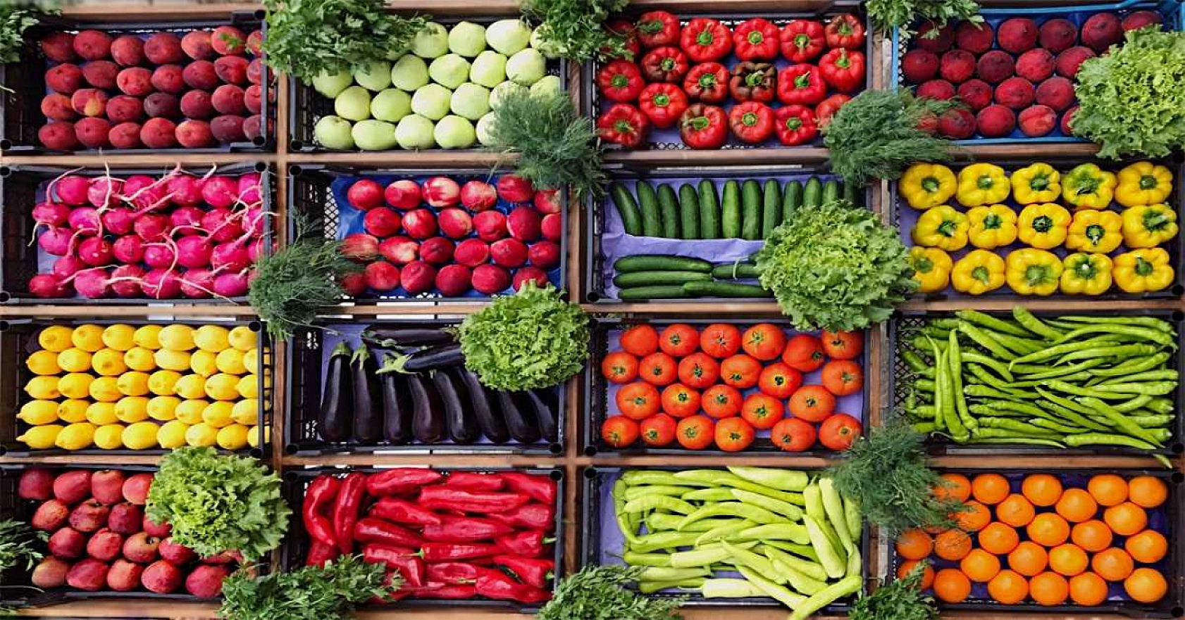 Malatya'da 5 Kasım Hal Fiyatları: Meyve-Sebze Fiyatları Ne Kadar? İşte Yanıtı…