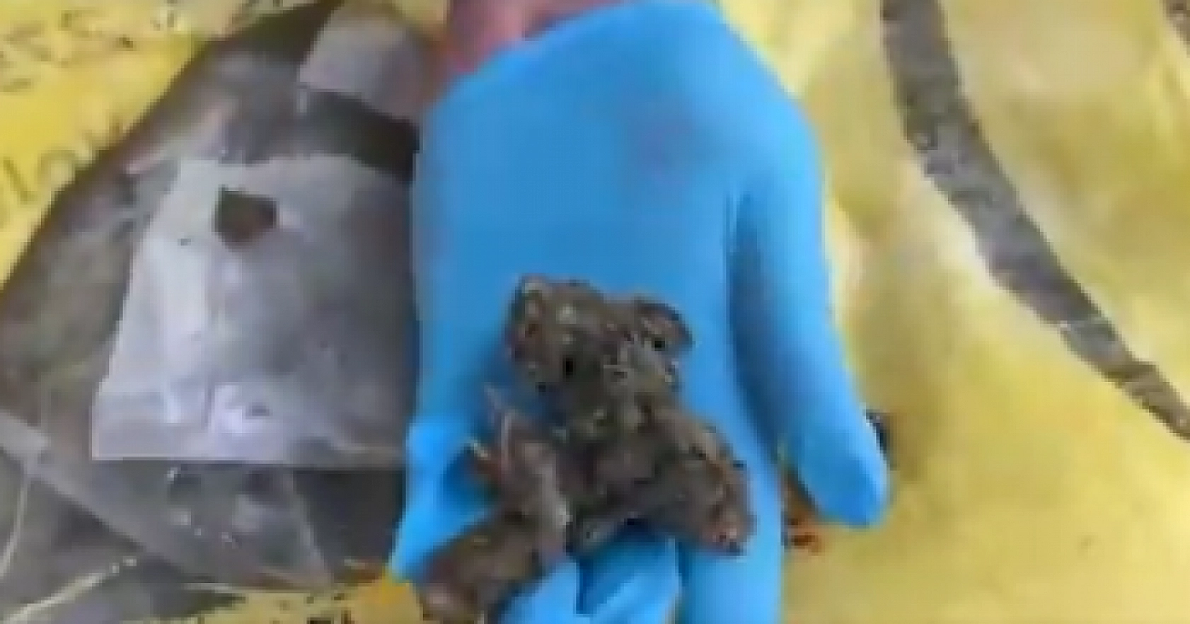 Malatya'da 'Narkoçelik-37' Operasyonu: Uyuşturucuya Darbe