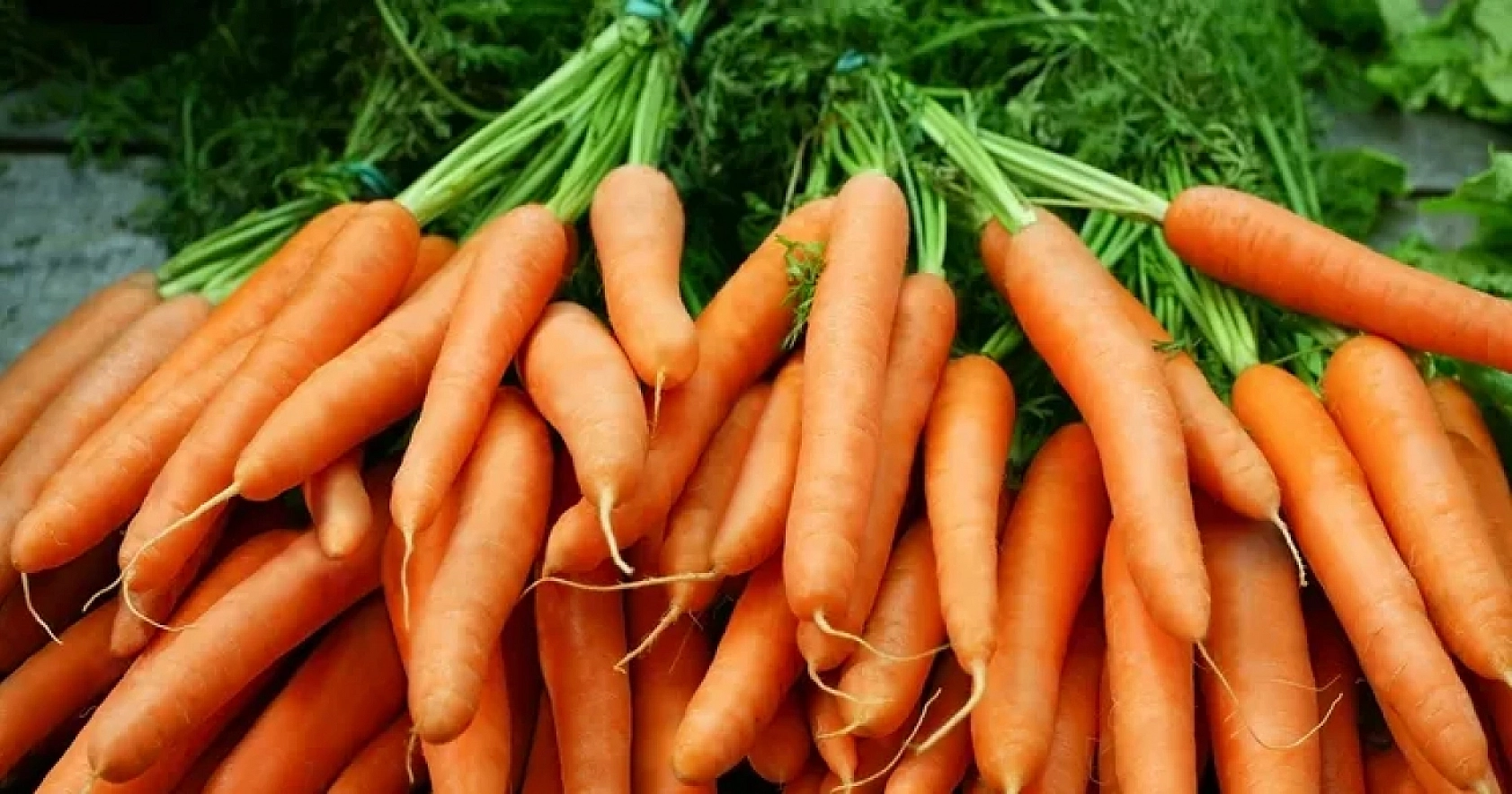 Malatya Hal Pazarı Fiyatları Açıklandı: Ucuz ve Pahalı Ürünler Belli Oldu