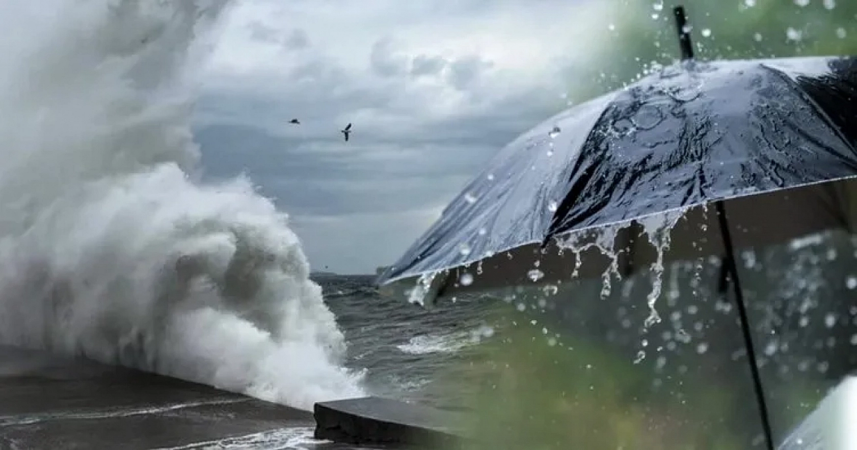 Malatya'ya kış erken geldi: Meteoroloji zirai don için uyardı…