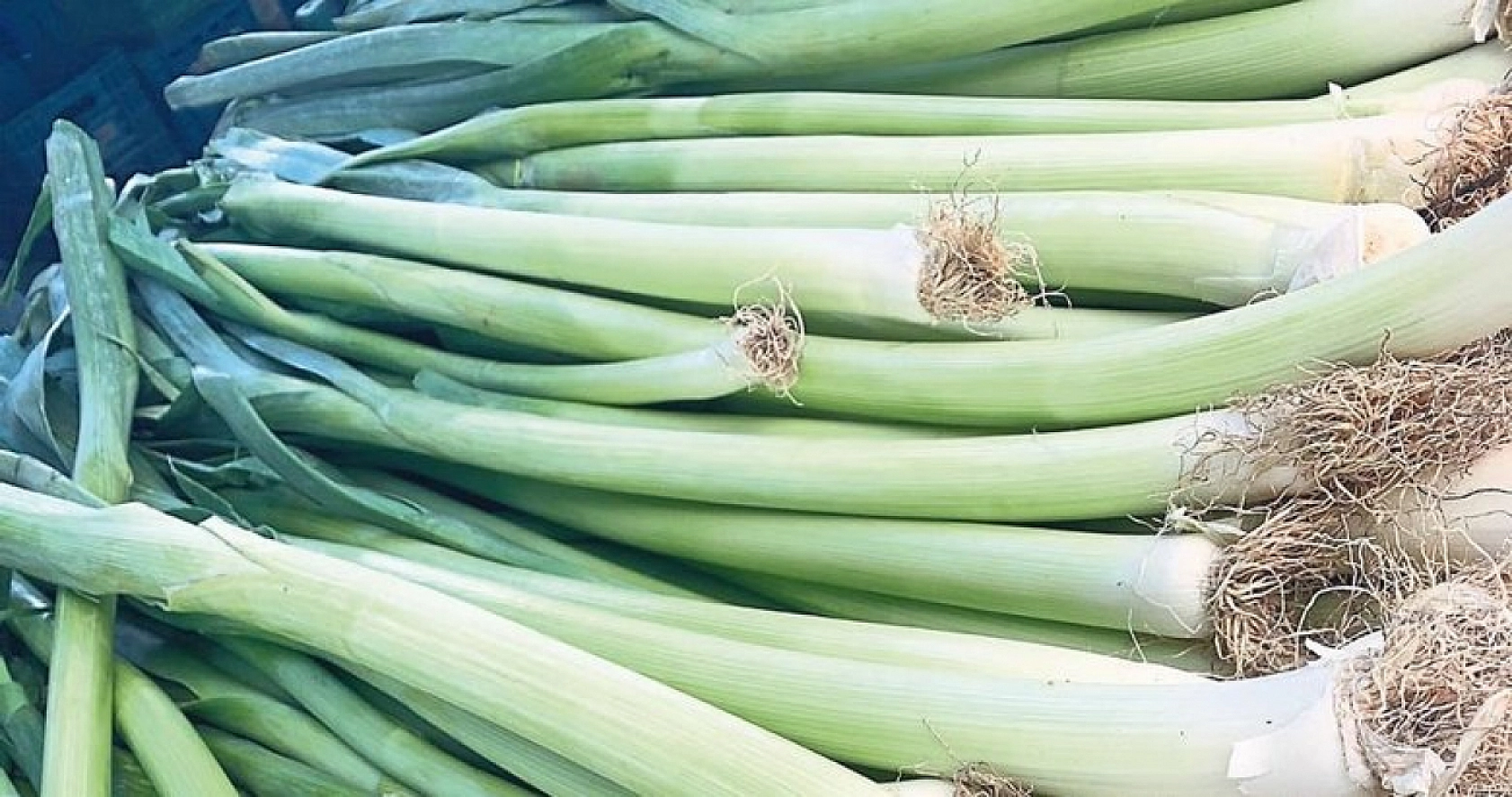 Kış Alışverişlerinde Zirveye Yerleşen O Oldu! En Çok Tercih Edilen Besin Belli Oldu!