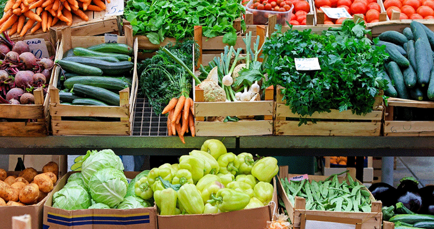 Çöpe atan da stoklayan da yandı! Halde cezalar artacak!