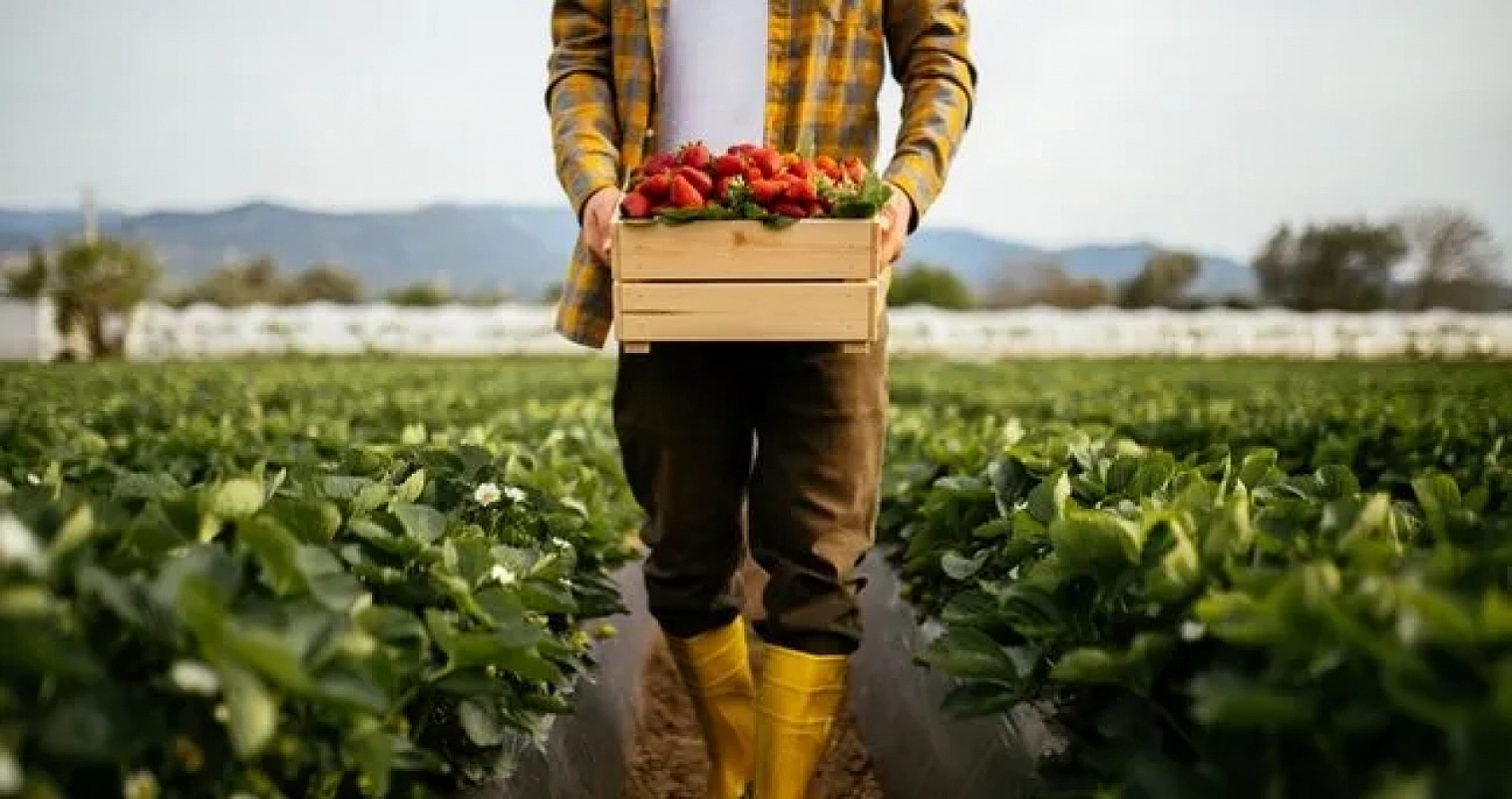 Malatyalılar Yaşadı! Yeni Dönem Başlıyor...