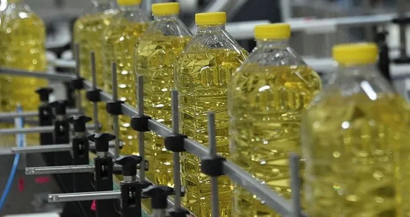 80 Günde 3 Zam: Ayçiçek Yağı Fiyatları Patladı