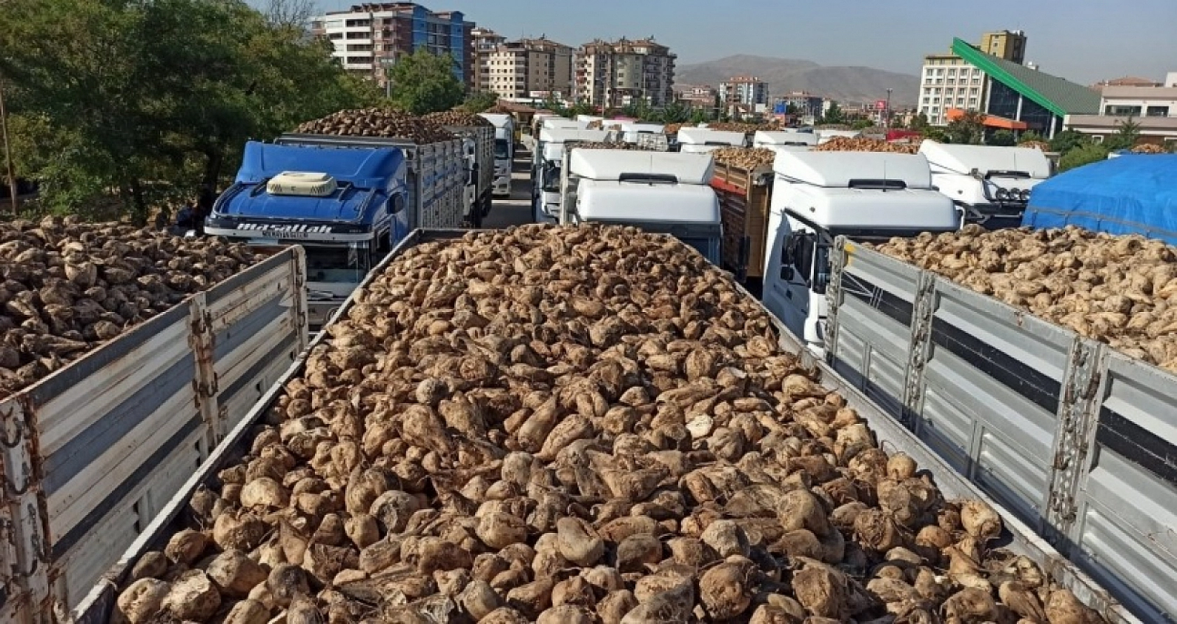 Malatya Şeker Fabrikası 2025 kampanyası için kolları sıvadı! Gözler 5 Ağustos'ta…