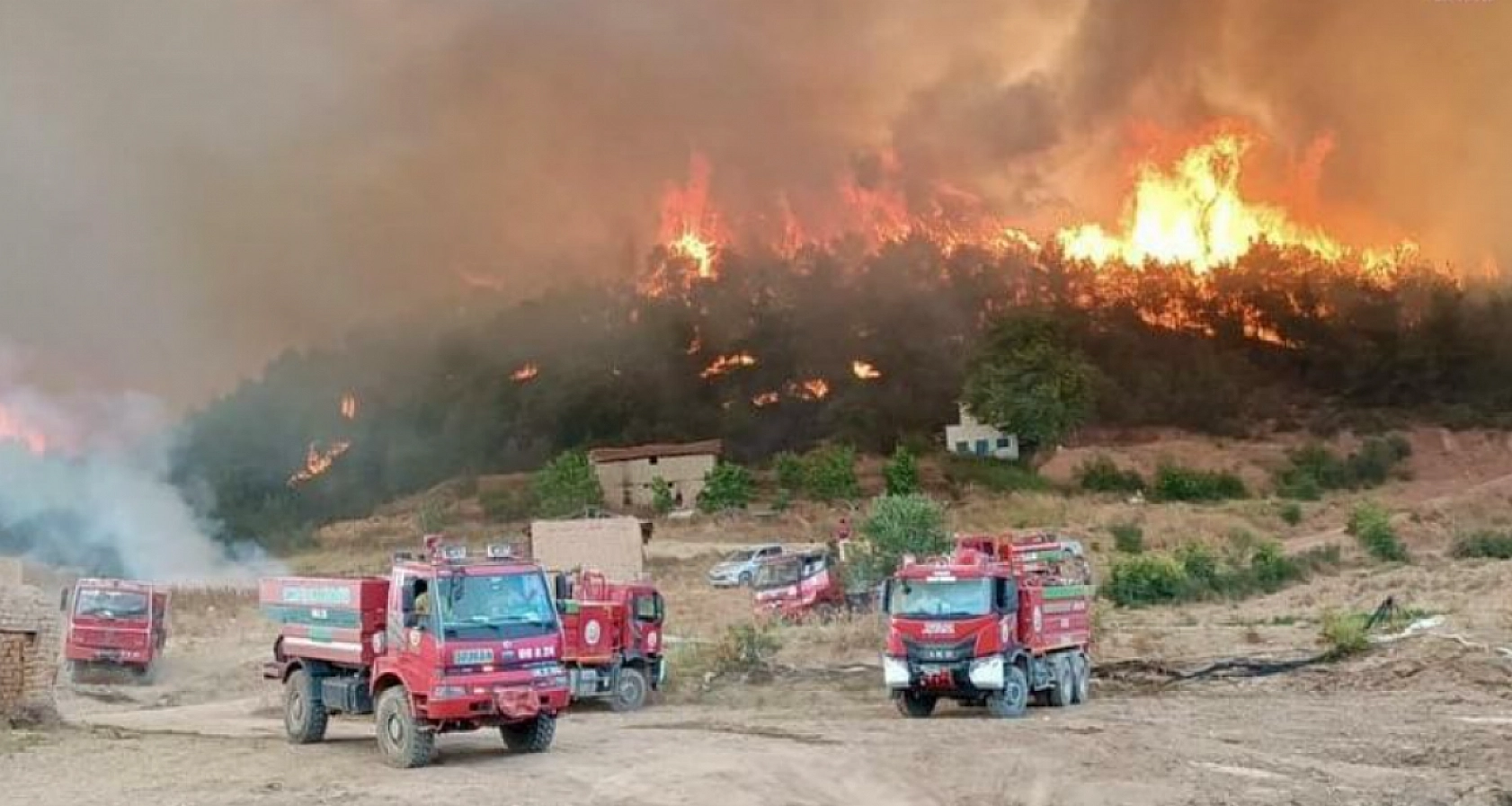Eskişehir'den acı haber: 10 orman işçisi şehit oldu…