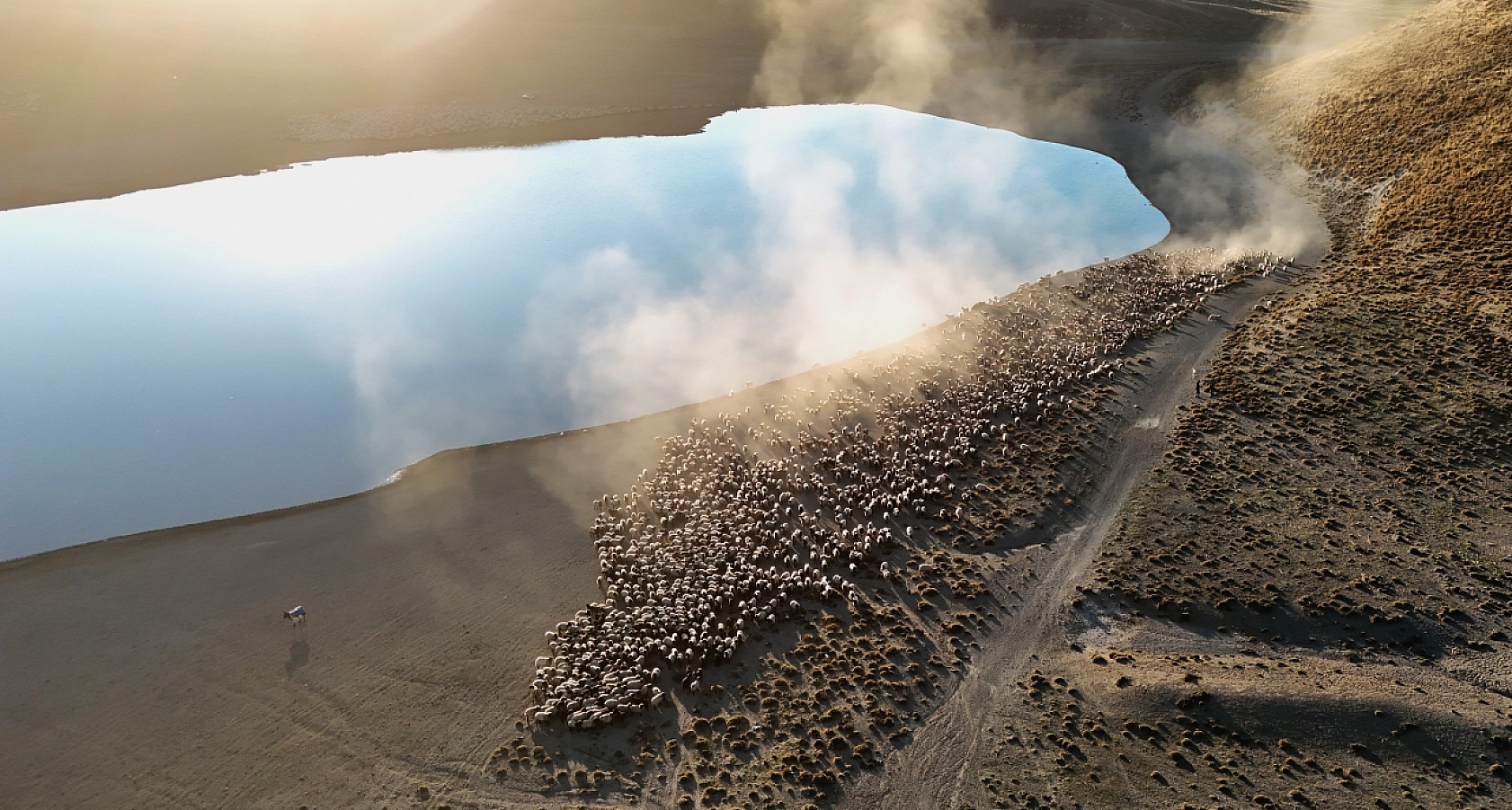 Nemrut Kalderası'nda Sürülerden Kartpostallık Su Yolculuğu