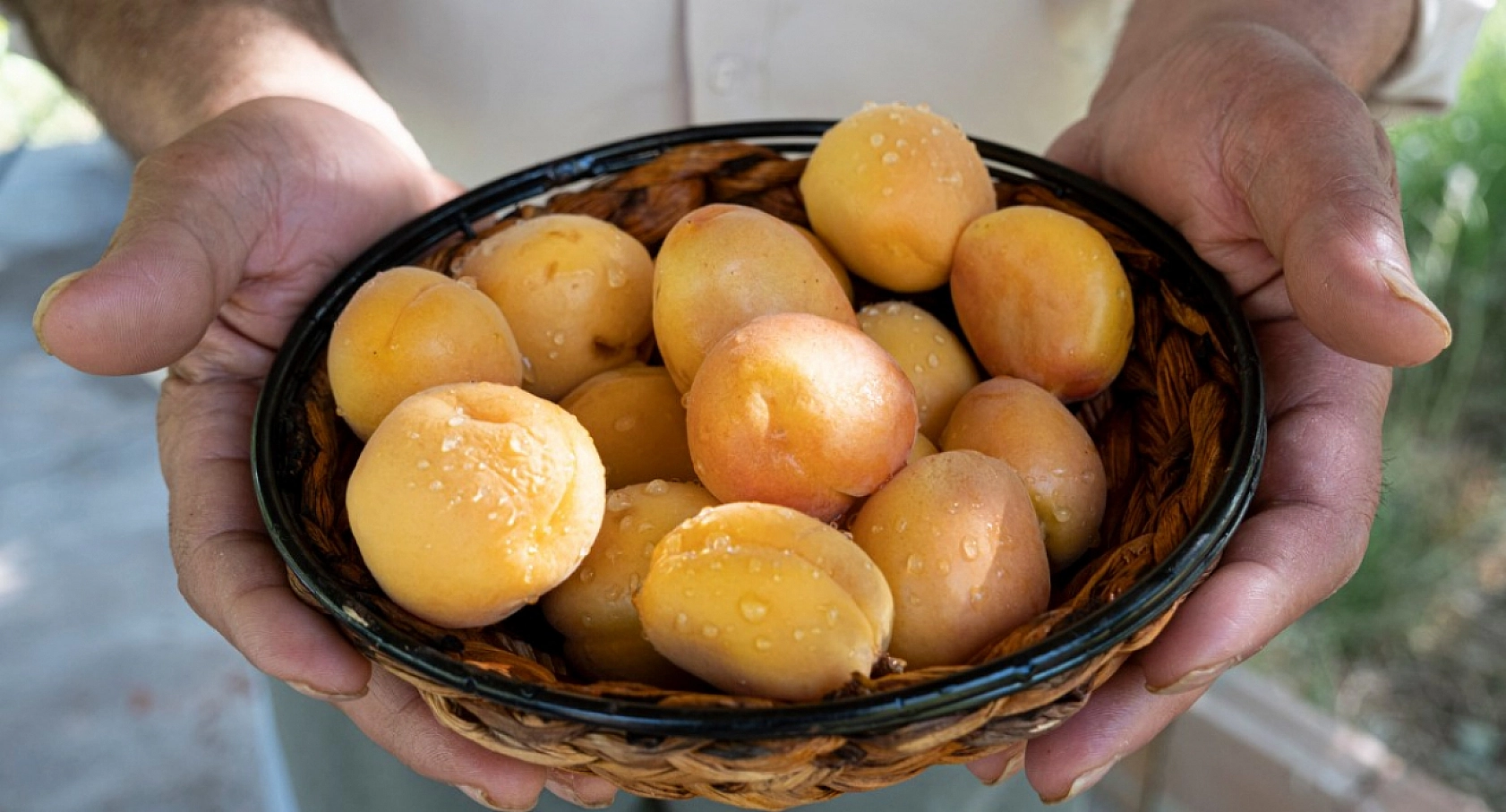 Kayısı, kebabı solladı! Adanalılar Malatya'nın sırasını hazmedemedi!