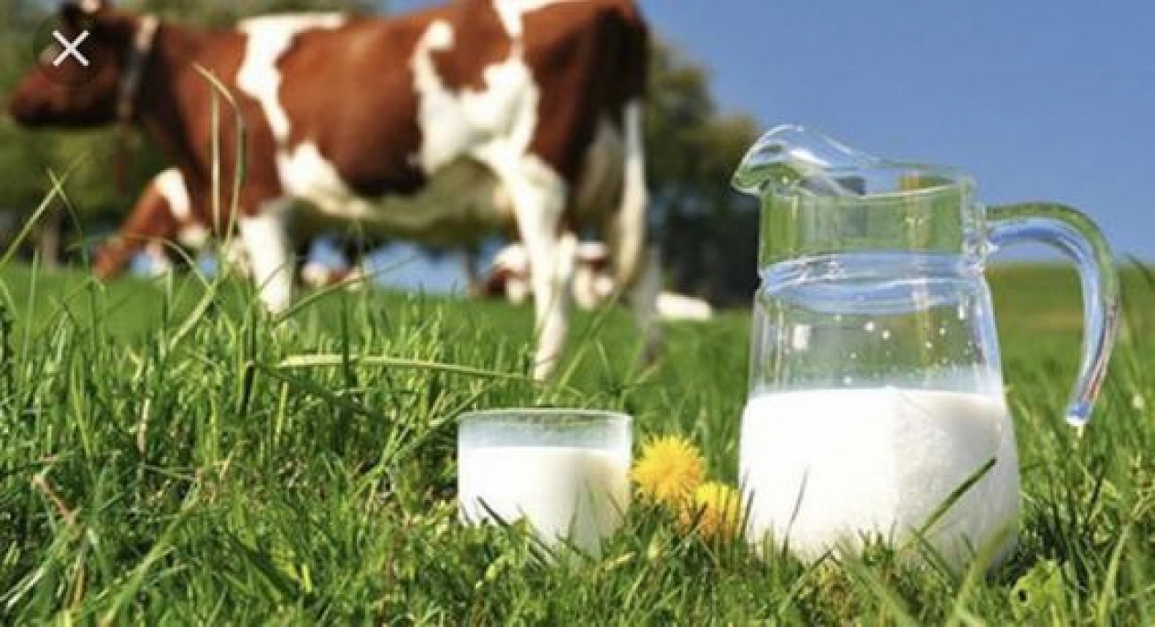 Rusya, Çareyi Türkiye'de Buldu! Artık O Ürün Yok Satıyor...!