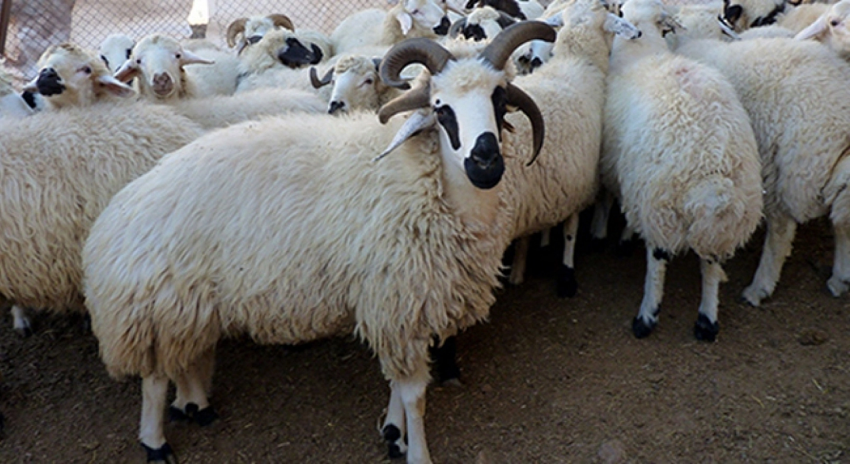 Malatya'da Üçüncü Çağrı Proje Başvuruları Başladı