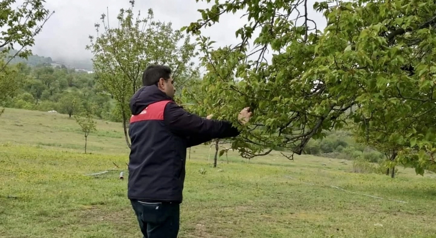 Malatya kayısısını dolu vurdu: Borçlar ertelenecek mi?