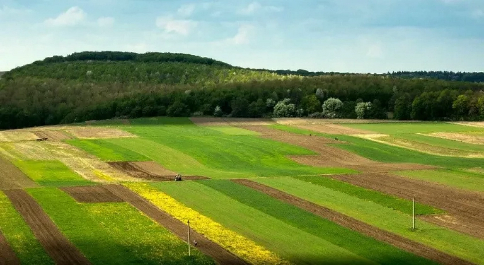 TOKİ Malatya'da Arsa Satacak..! İşte Detaylar....!