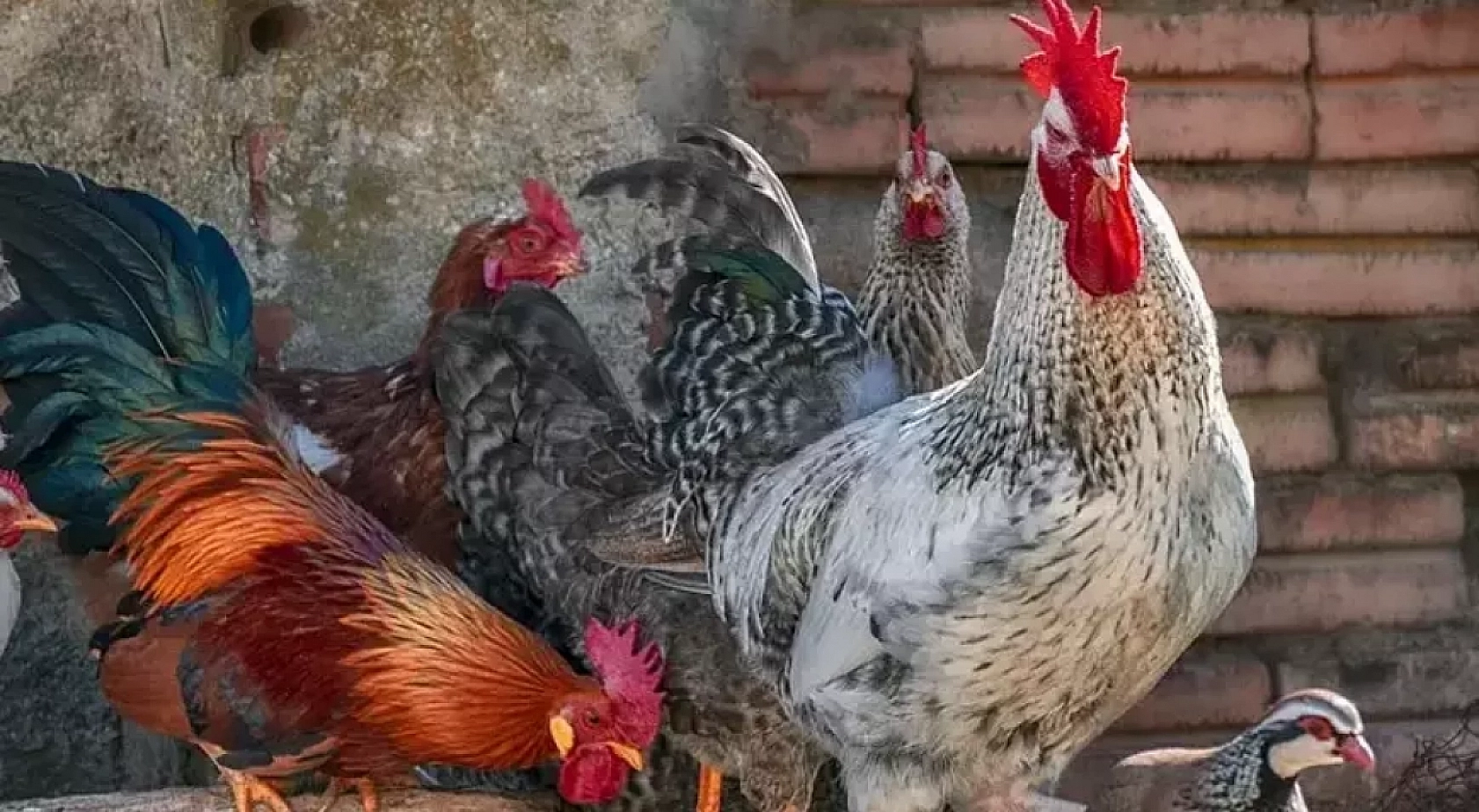 Deprem Raporu Açığa Çıktı: Malatya'da En Çok O Üreticiler Zarar Görmüş!