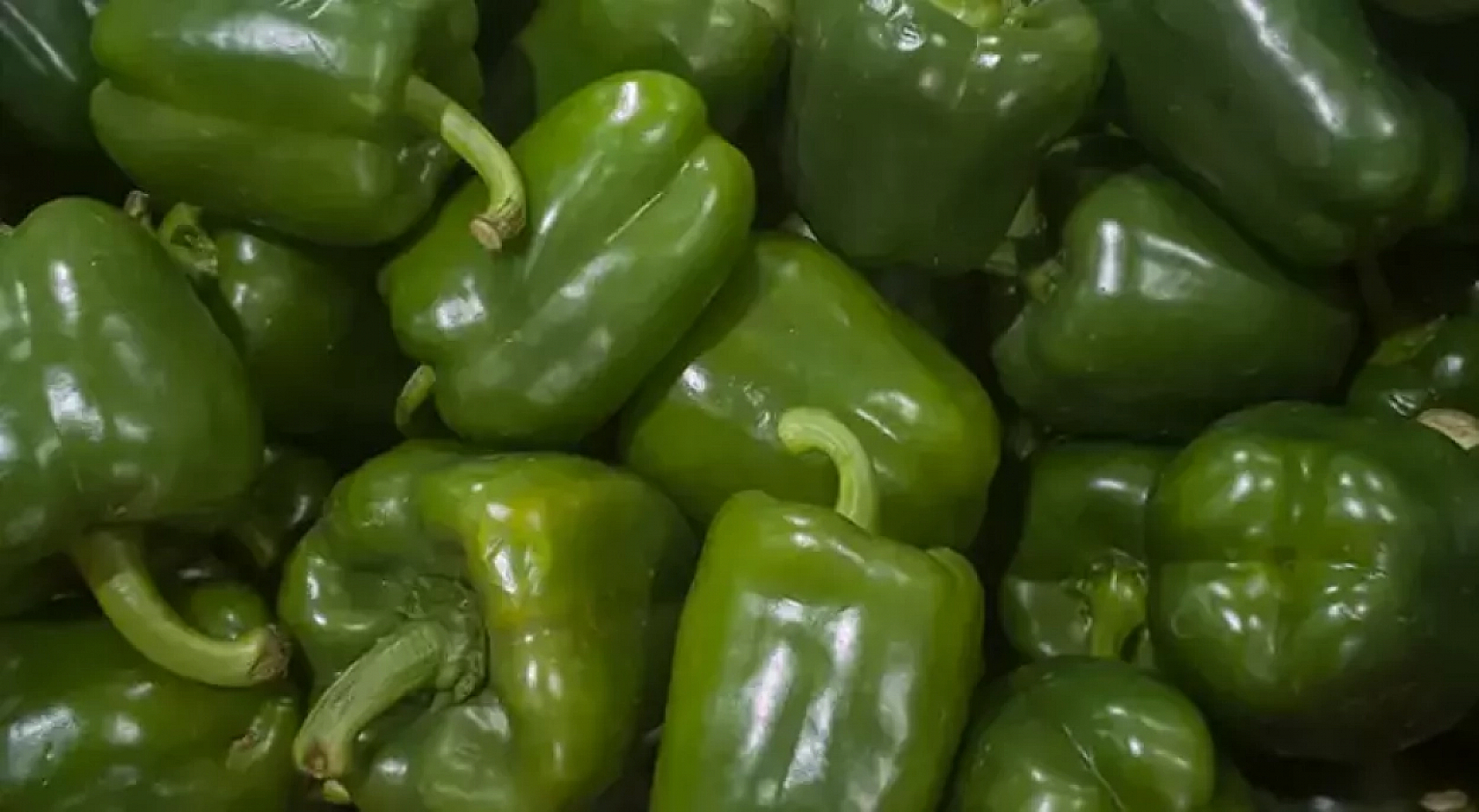 Malatya Hal Pazarı'nda Güncel Fiyatlar Açıklandı: En Ucuz ve En Pahalı Ürünler Belli Oldu