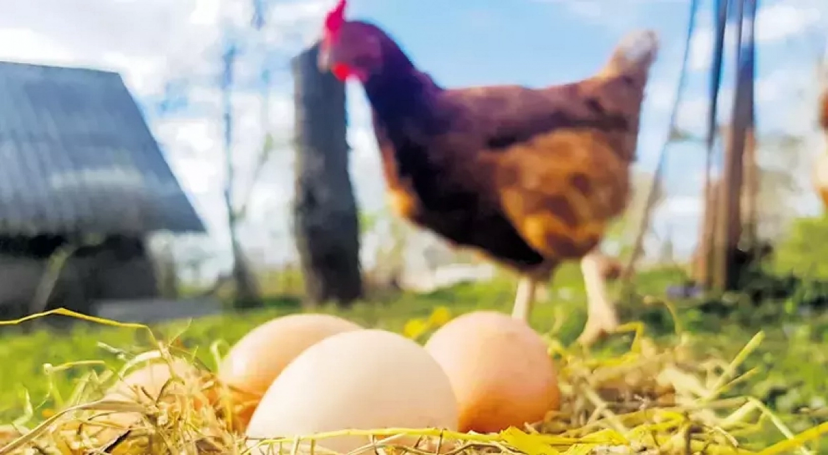 Malatya'da üreticiye rekor destek: 3,6 milyar TL'lik hibe