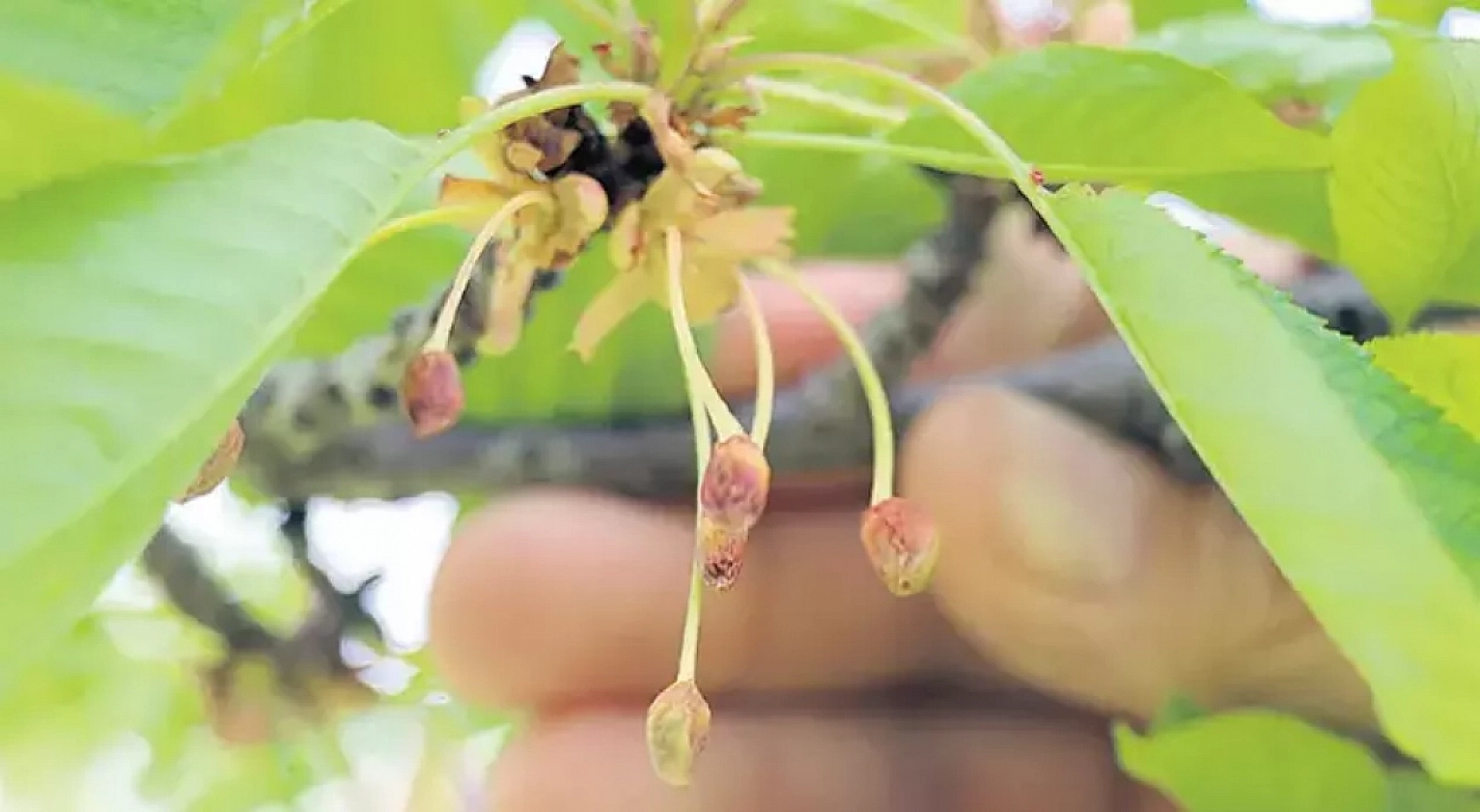 Bakan müjdeyi verdi: 11,6 milyar TL hasar tazminatı ödendi…