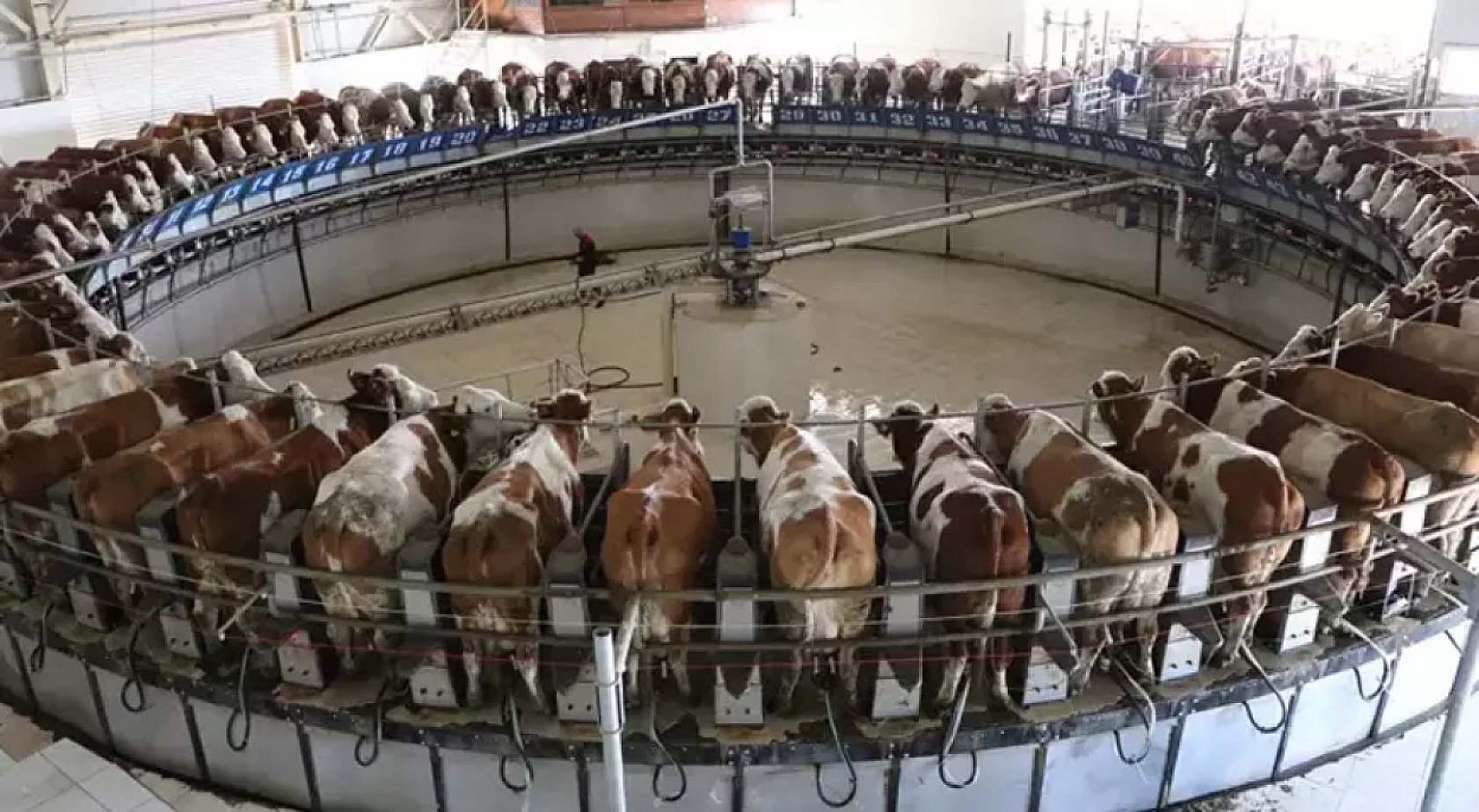 Malatya'da Milyonluk İhale: Kasalar Dolacak!