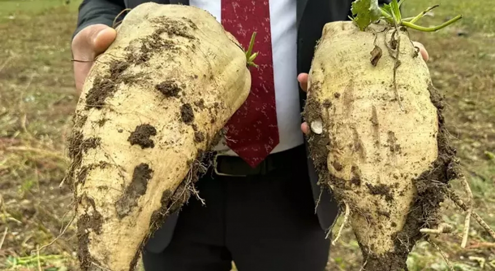 Malatya'da Pancar Alım Fiyatı Beklentiyi Karşıladı Mı? Üretici Ne Diyor?