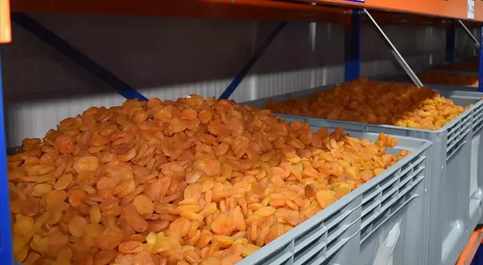 Malatya Artık Sadece Kayısı İle Anılmayacak! 