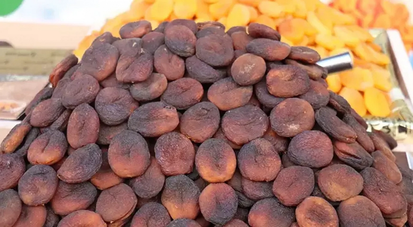 Malatya Kayısısı Tehlikede: Avrupa'dan Geri Gönderiliyor!