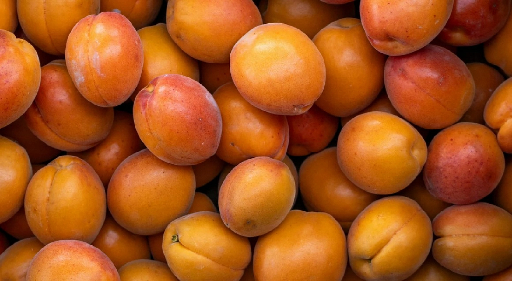 Kayısı, kebabı solladı! Adanalılar Malatya'nın sırasını hazmedemedi!