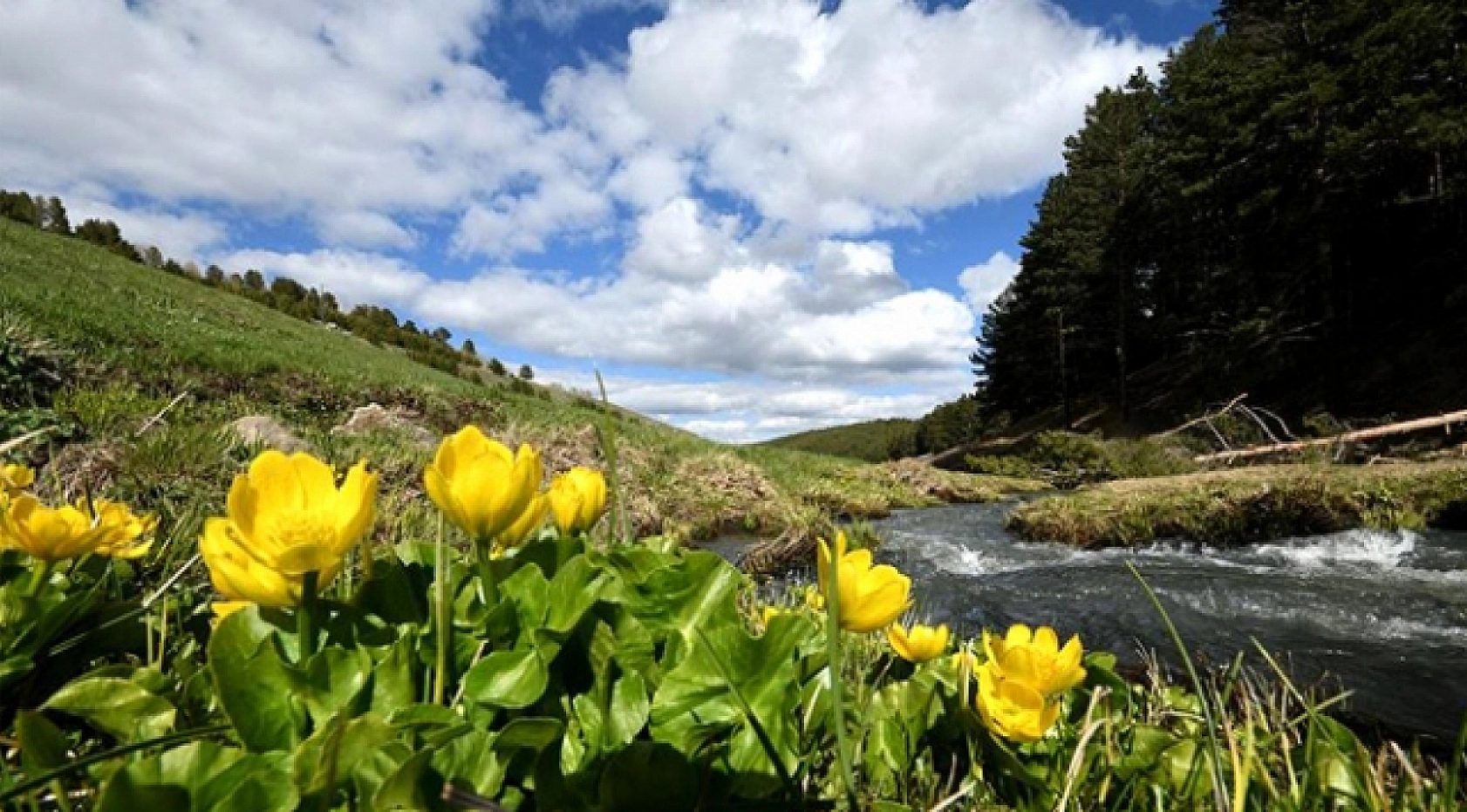 Malatya'da Bahar Havası: Hangi İlçede Kaç Derece Ölçüldü?