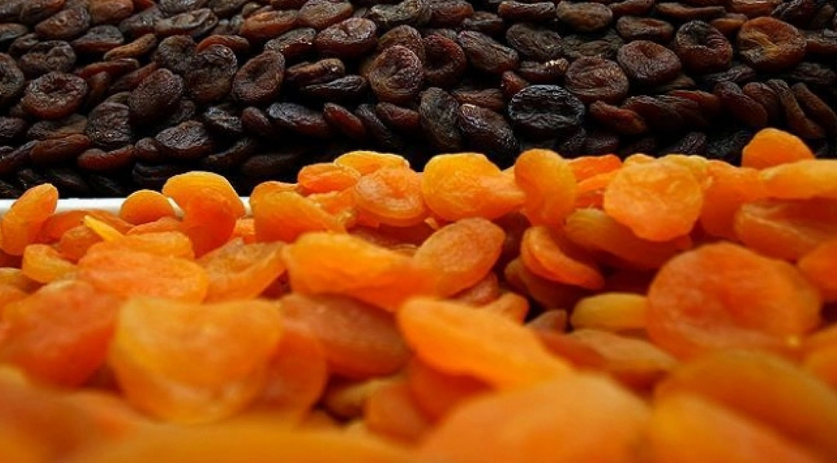 Malatya'da Kayısı Satmak İçin Tüccar Tüccar Dolaşma Dönemine Son! İşte Yeni Elektronik Satış Salonu