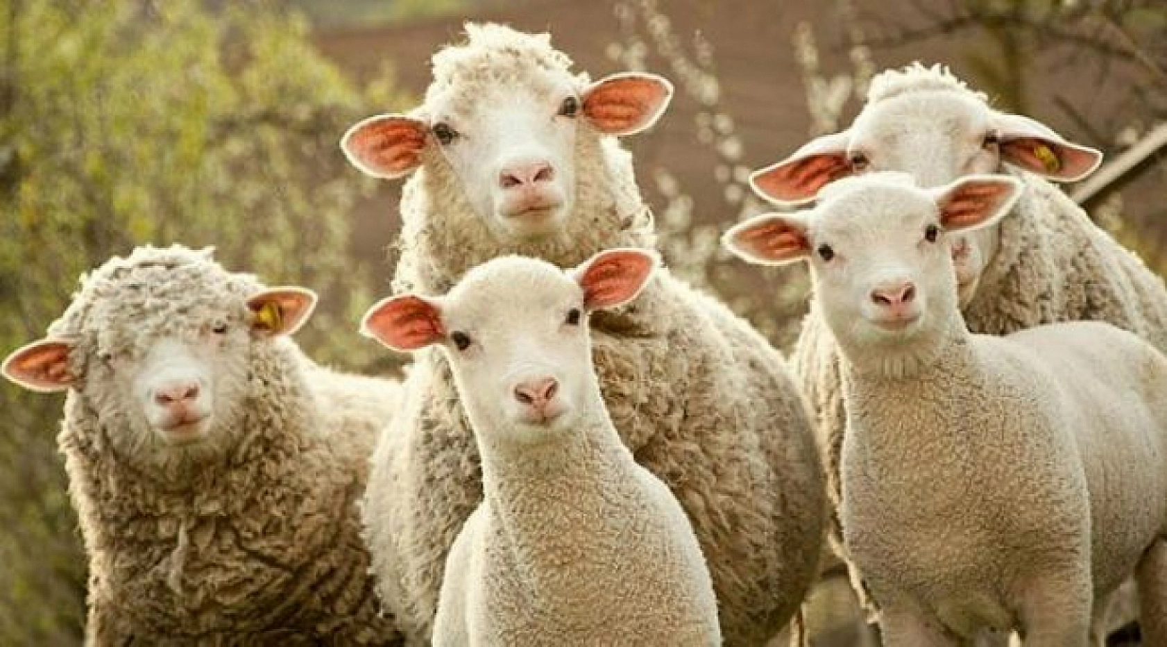 Malatyalılar Dikkat! Başvurular İçin Son Gün!