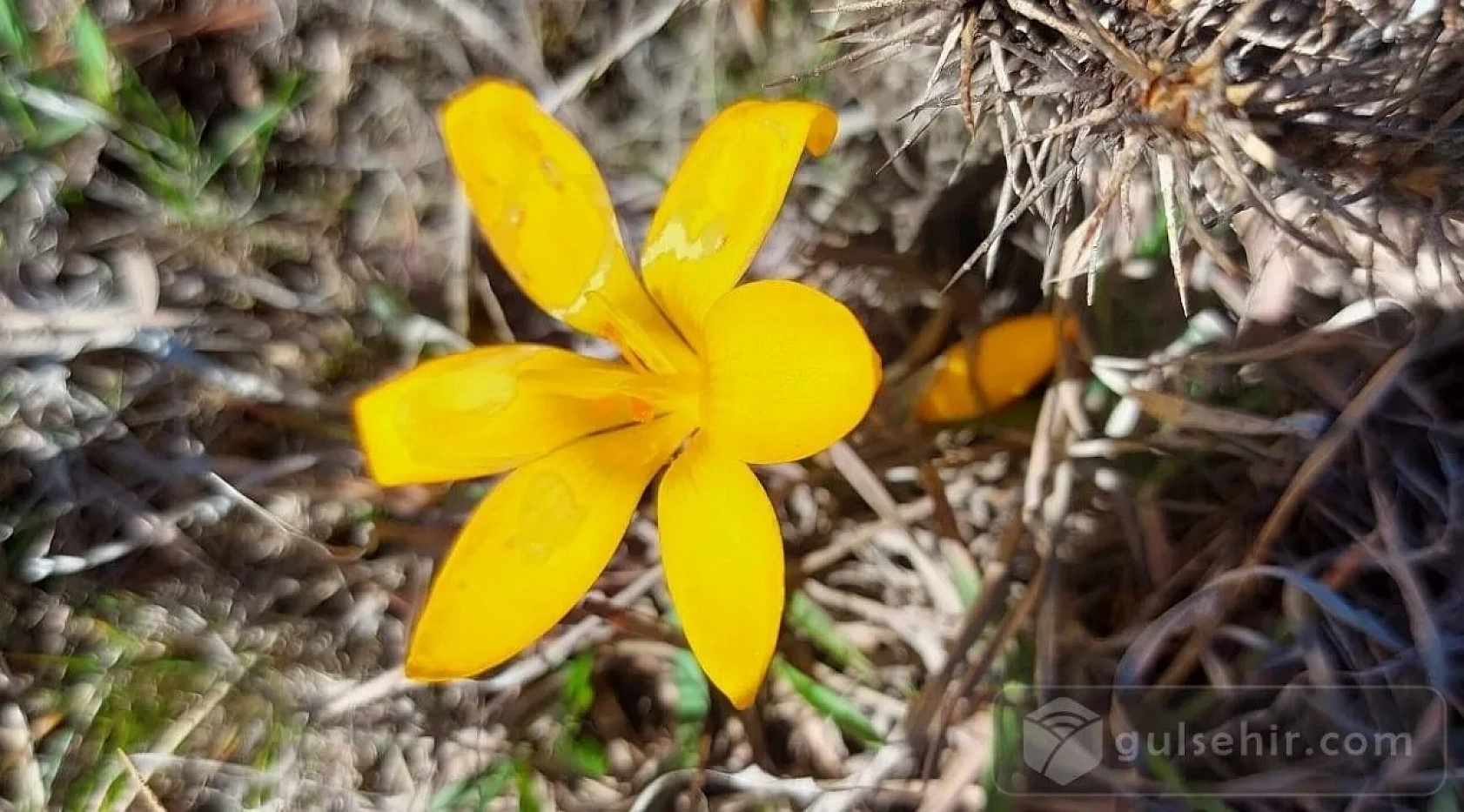 Malatya'da hava sıcaklığı artıyor: Termometreler 32 dereceyi gösterecek….