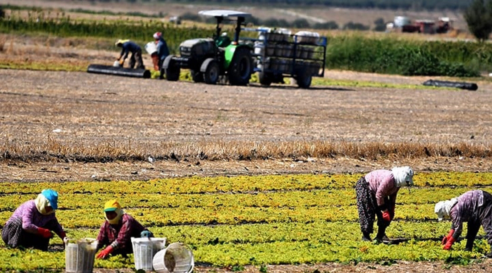 Malatya'da Tarımda Yeni Dönem! Yüzde 100 Mazot Desteği Geliyor!