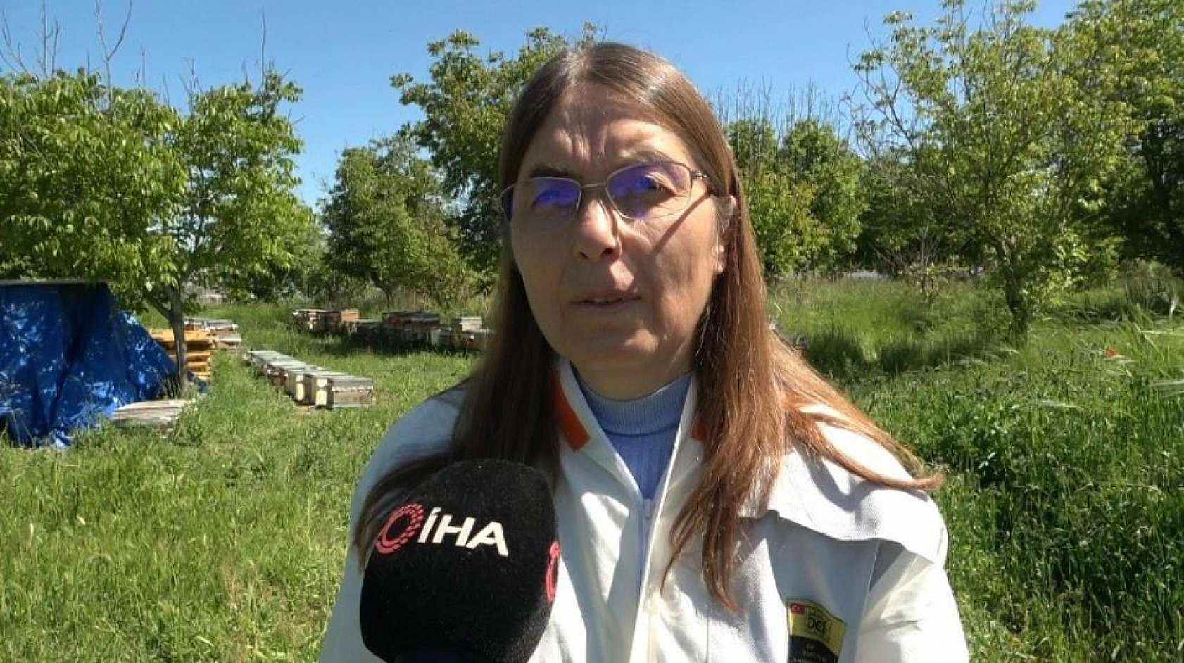 Malatya'da şaşırtan araştırma| Aynı arı, aynı şeker ama sonuç bambaşka!