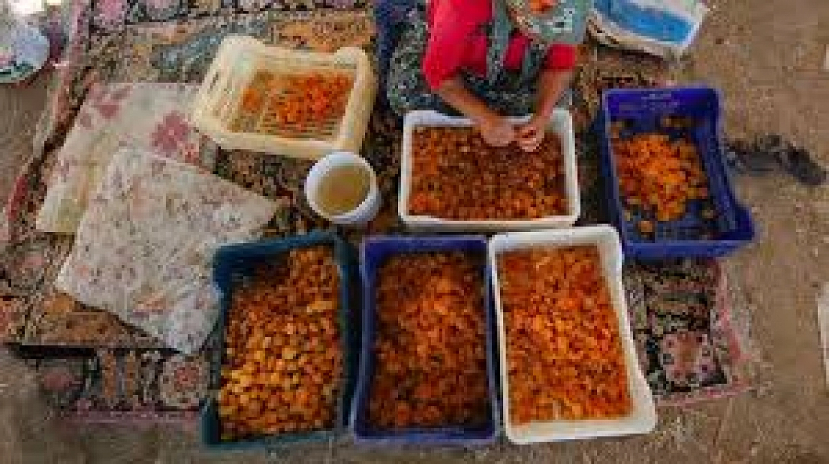 Malatya'ya Müjde! TMO Alım Yapacak! İşte Detaylar...