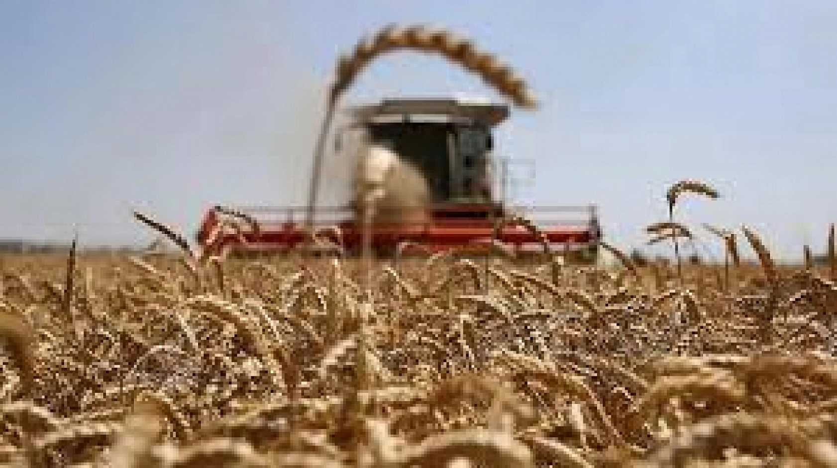 Malatya'daki çiftçiler için geri sayım başladı: Yaptırmayanlara ceza geliyor