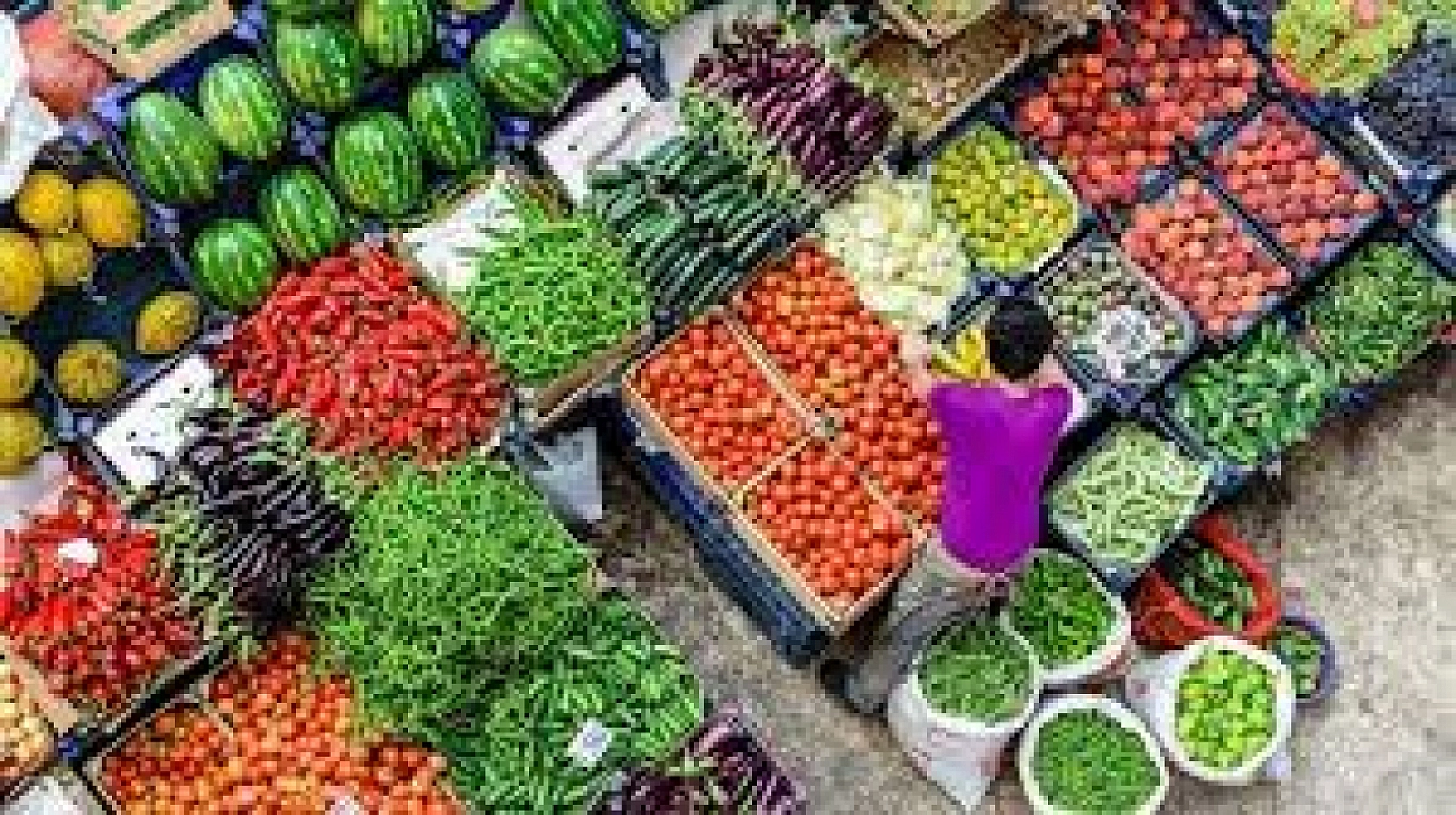 Malatya'da 15 Kasım Hal Fiyatları: Meyve ve Sebze Fiyatları Ne Kadar? İşte Güncel Fiyat Listesi…