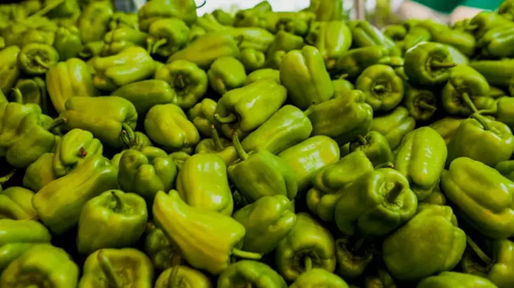 Malatya Hal Pazarı fiyatları açıklandı: Zamlar etiketlere yansıdı mı?