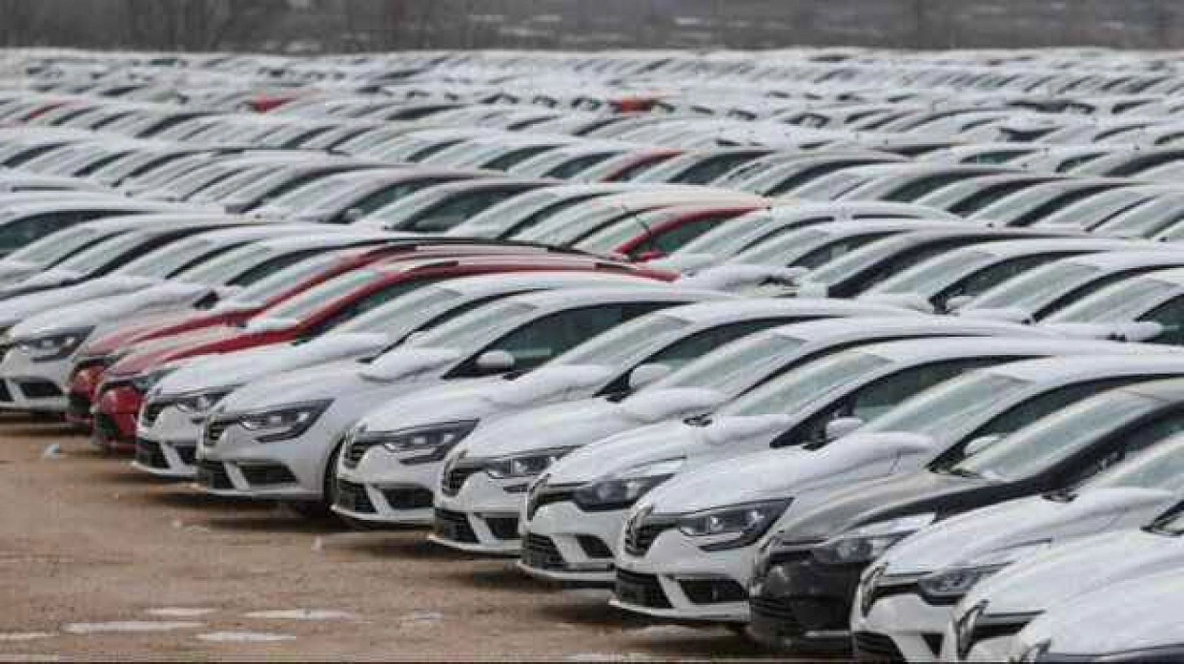 Malatya'da Günden Güne Artıyor! Her 3 Kişiden Birinde Bulunuyor!