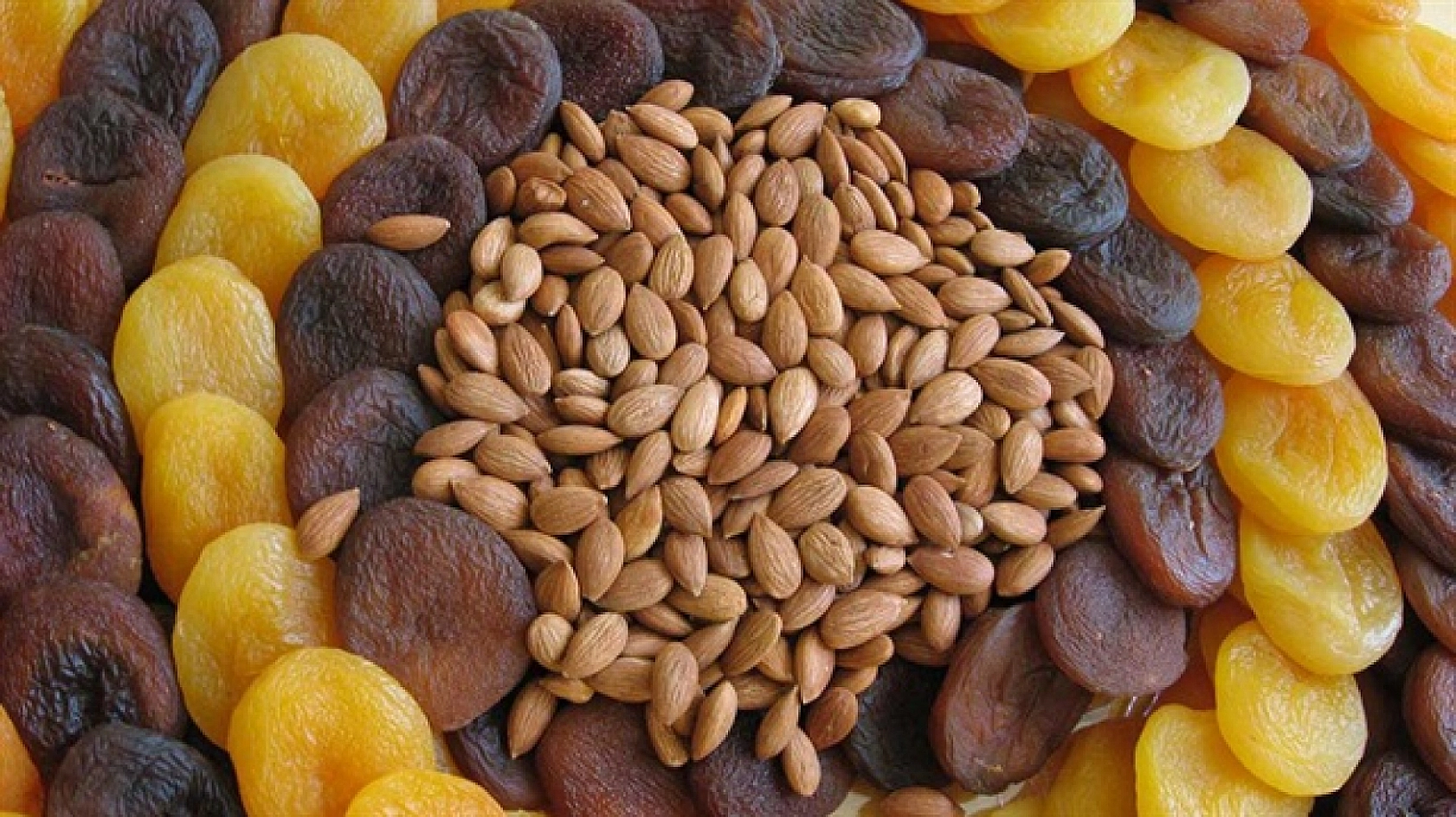 Kuru Kayısı Fiyatı Şaşırttı: Bu Defa Marketler Değil Üretici Kazandı!