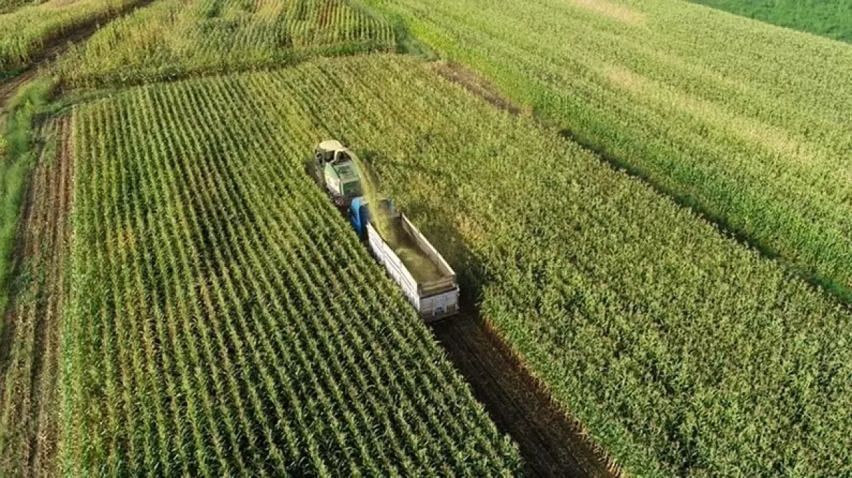 Bakanlık Duyurdu! Milyonluk Destek İçin Başvurular Başladı!