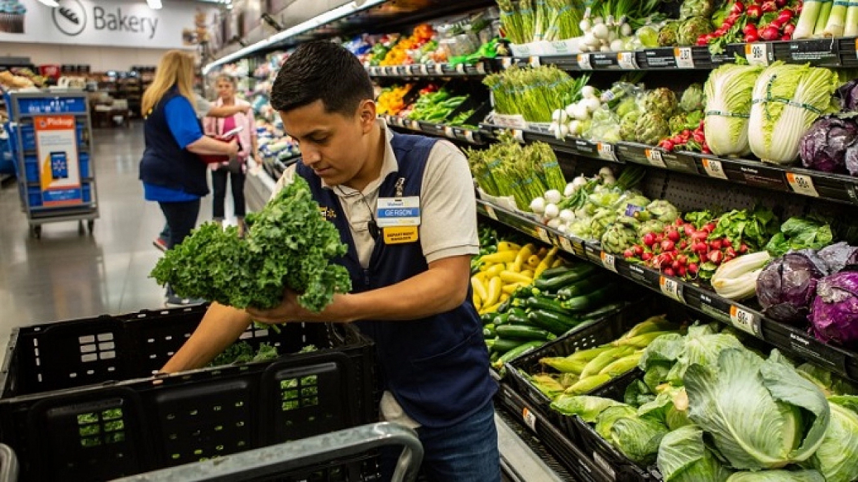 En Fazla İstihdamın Gerçekleştiği Meslekler Belli Oldu!