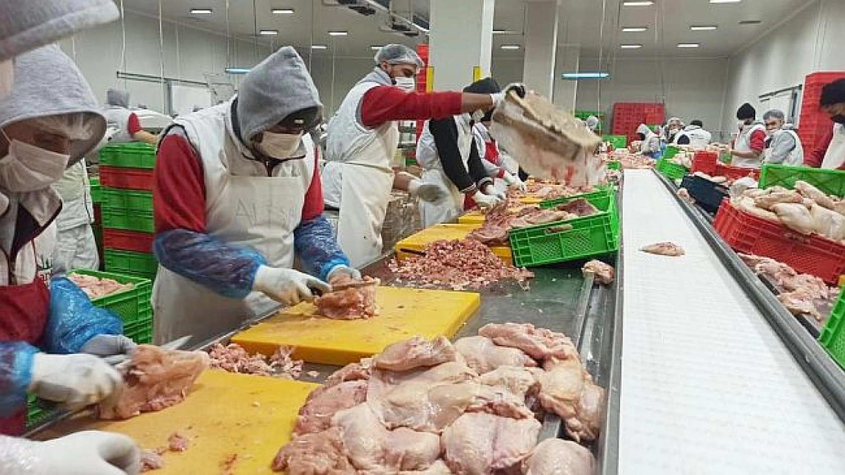 Tavuk Eti Fiyatı Cep Yaktı: Malatya'daki Kasaplardan Yüksek Fiyata Çözüm Önerisi!