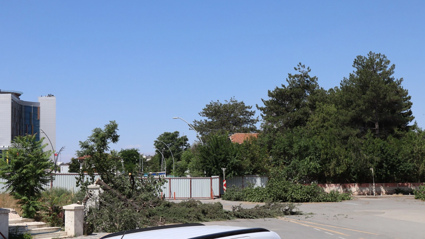 Malatya'da yeşil alanlar grileştiriliyor: 35 yıllık ağaçlar betona kurban ediliyor!
