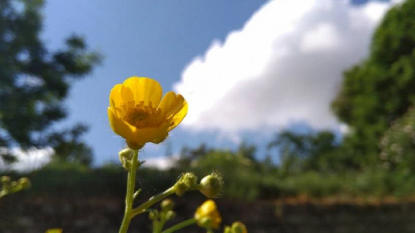 Güneşli hava Malatya'yı terk etmiyor! Sıcaklıklar mevsim normallerin üzerinde...