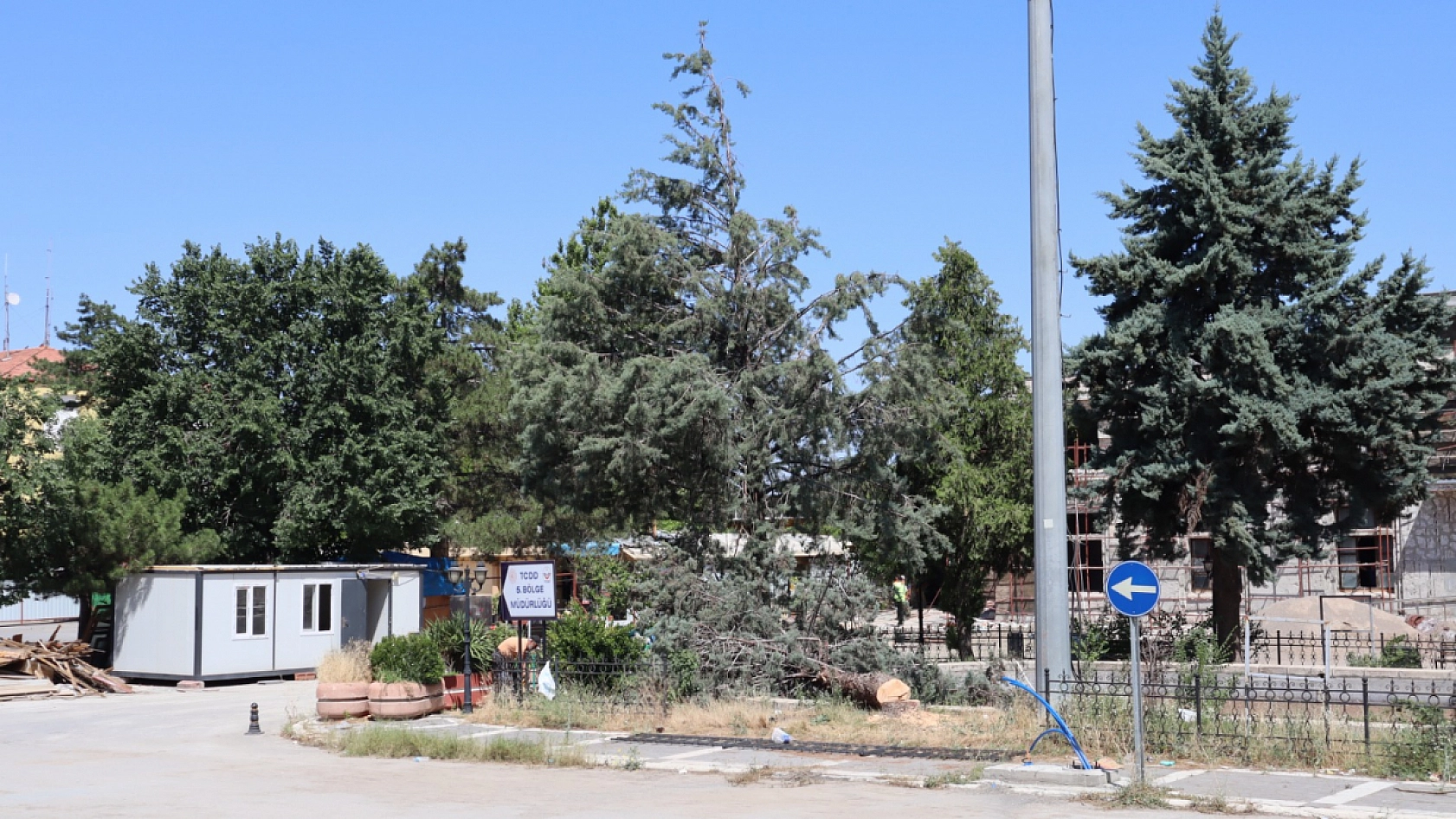 Malatya'da yeşil alanlar grileştiriliyor: 35 yıllık ağaçlar betona kurban ediliyor!