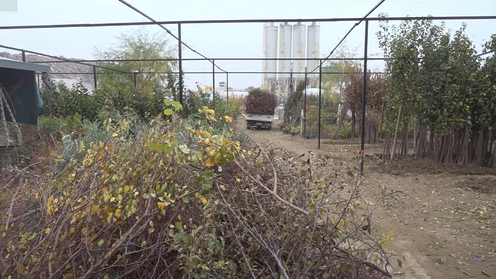 Malatya fidancıları zor durumda: Olumsuz hava koşulları 100 bin fidanı yok etti