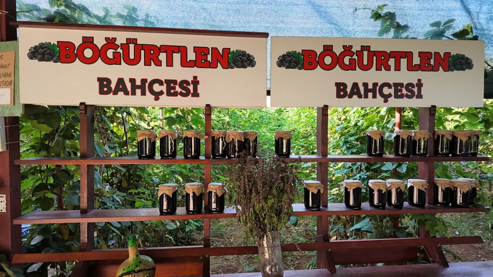 İstanbul'dan Malatya'ya döndü, toprağa yöneldi: Kayısıya rakip ürün yetiştirdi