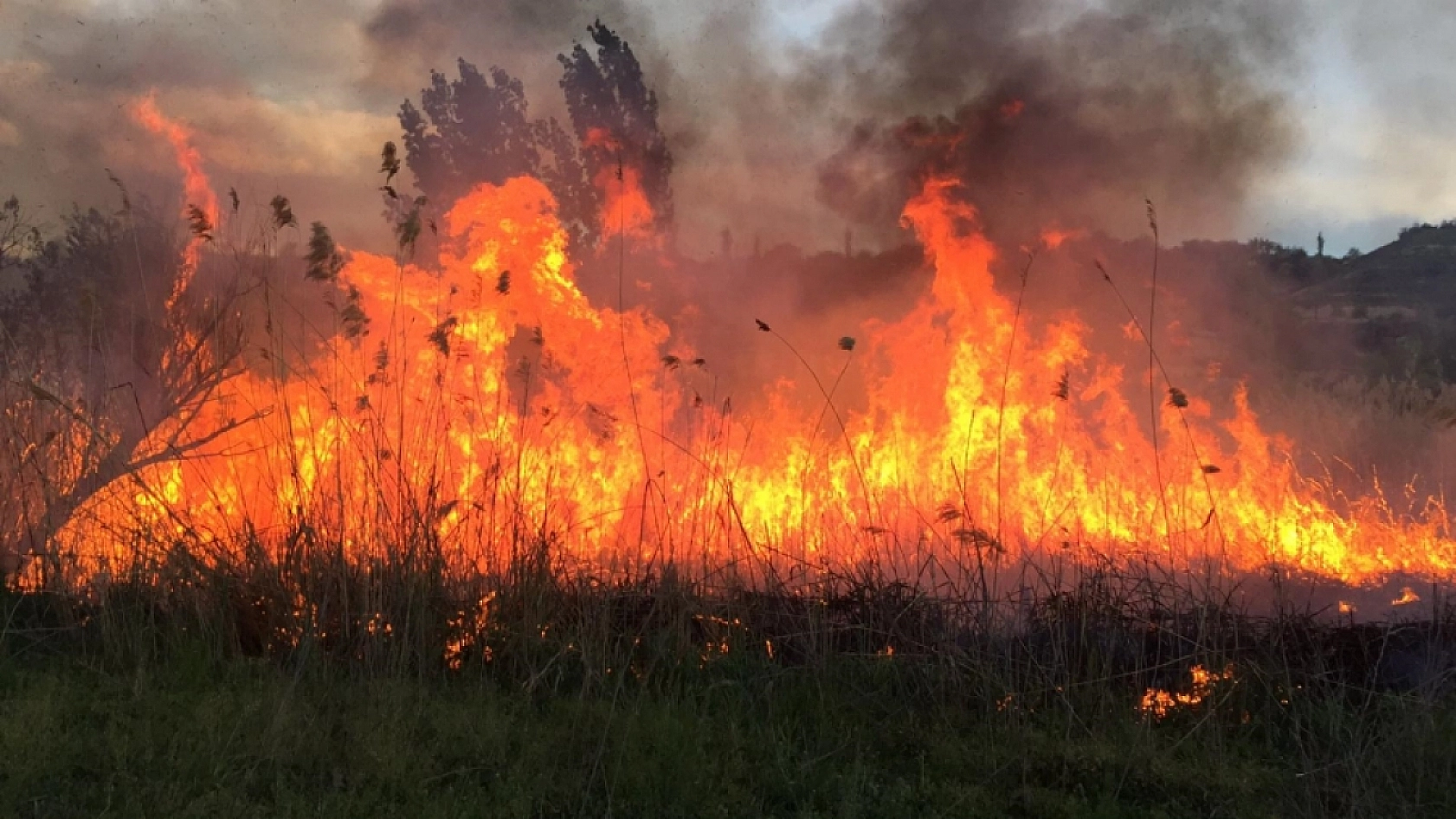 Malatya İtfaiyesi 10 Aylık Verileri Açıkladı: En Fazla Bu Alanlarda Yangın Meydana Geldi!