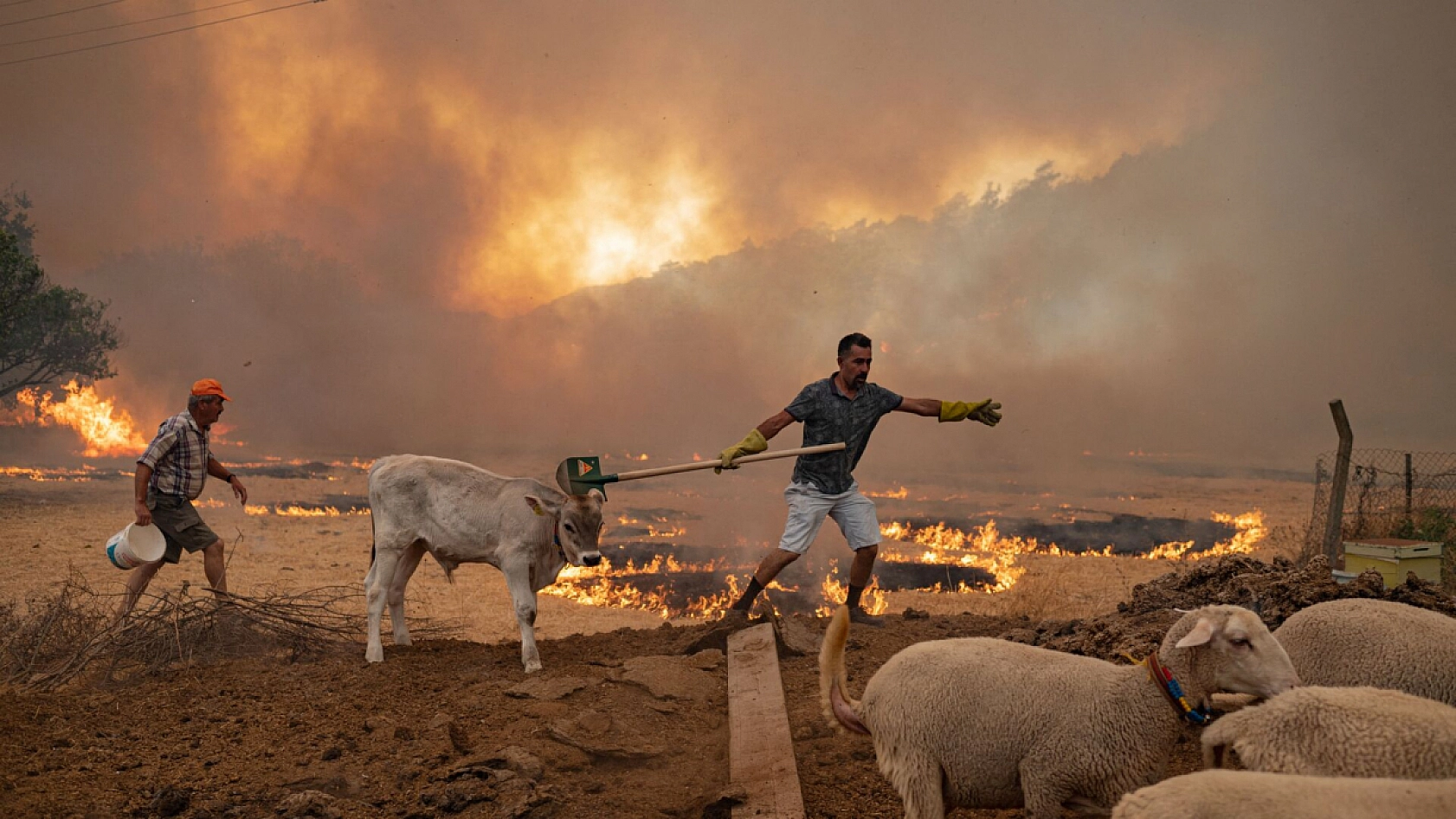 Malatya İtfaiyesi 10 Aylık Verileri Açıkladı: En Fazla Bu Alanlarda Yangın Meydana Geldi!