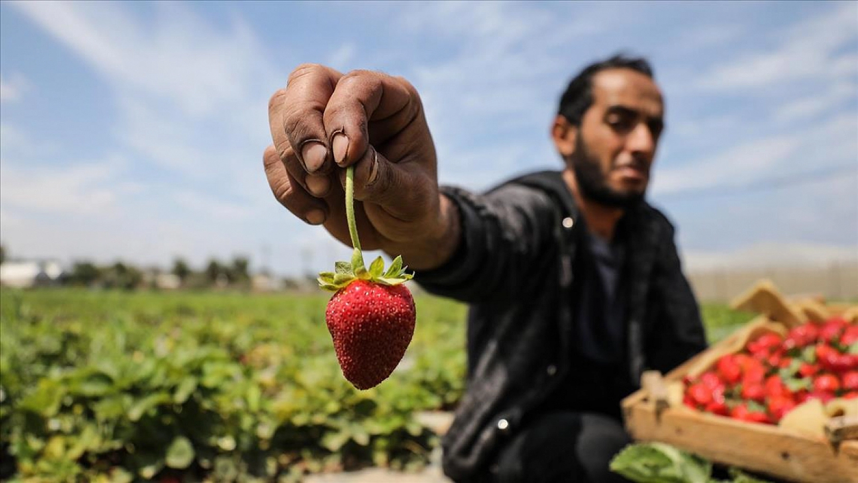 Malatya'da Tarımda Yeni Dönem! Yüzde 100 Mazot Desteği Geliyor!
